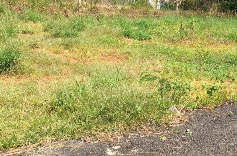 Kulasekaram - Thirparappu Road || 5 Cent || 5 lakhs per cent